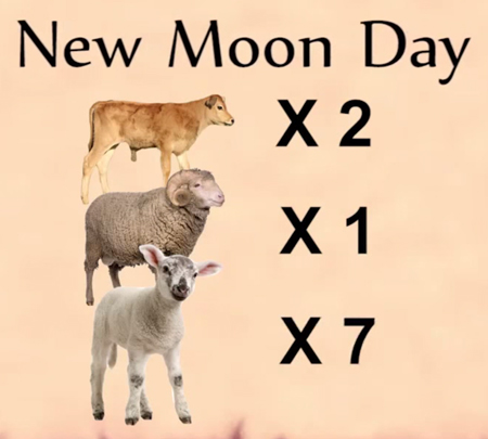New Moon Day Sacrifices