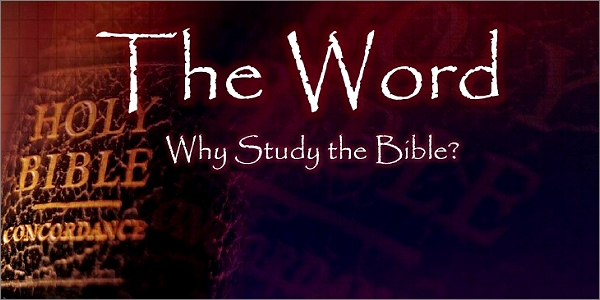 Why study Scripture?